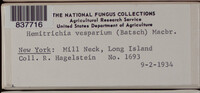 Image Associated With the Occurence
